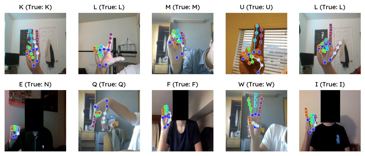 Example output of the fingerspelling detector /posts/ai/asl-detector-with-mediapipe-wsl/example-output.jpg